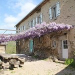 La terrasse et la glycine